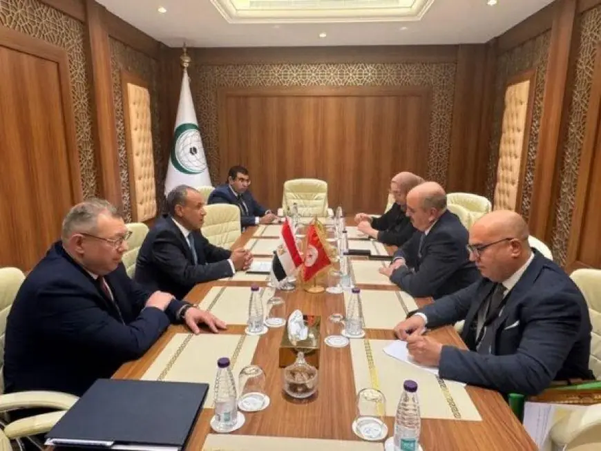 مباحثات مكثفة بين وزيري خارجية مصر وتونس حول الوضع الراهن في ليبيا