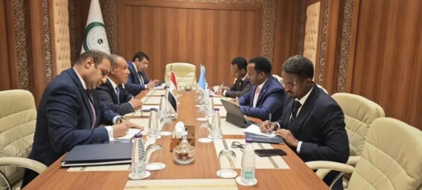 وزير الخارجية يجتمع مع نظيره الصومالي لتعزيز وحدة وسيادة الصومال