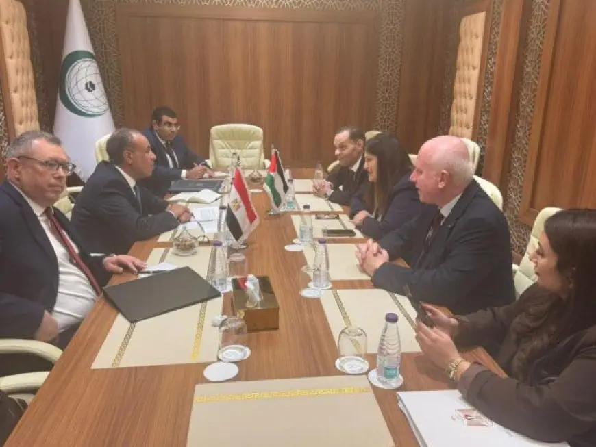 عبد العاطي يشدد على ضرورة تنفيذ المرحلة الثانية من خطة ترامب في محادثاته مع الوزيرة الفلسطينية