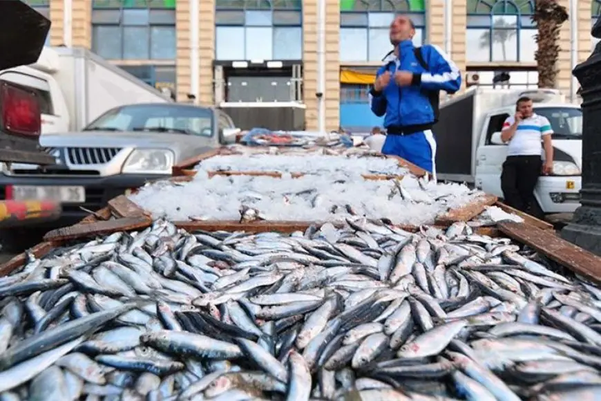 تعرف على أسعار الأسماك اليوم الأحد: الموسى يبدأ بـ 250 جنيهًا فقط