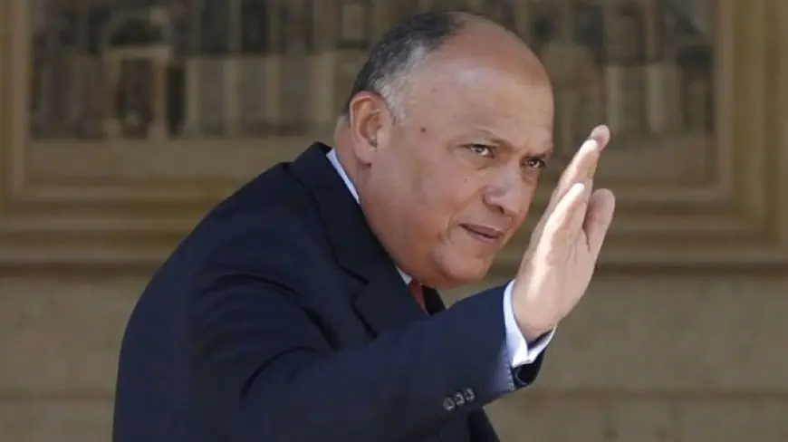 انضمام سامح شكري وزير الخارجية السابق إلى مجلس النواب المصري