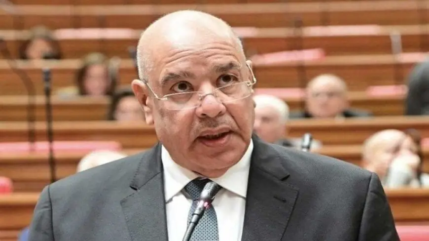 اكتشف مسيرة المستشار هشام بدوي البارزة في القضاء والرقابة ومكافحة الفساد