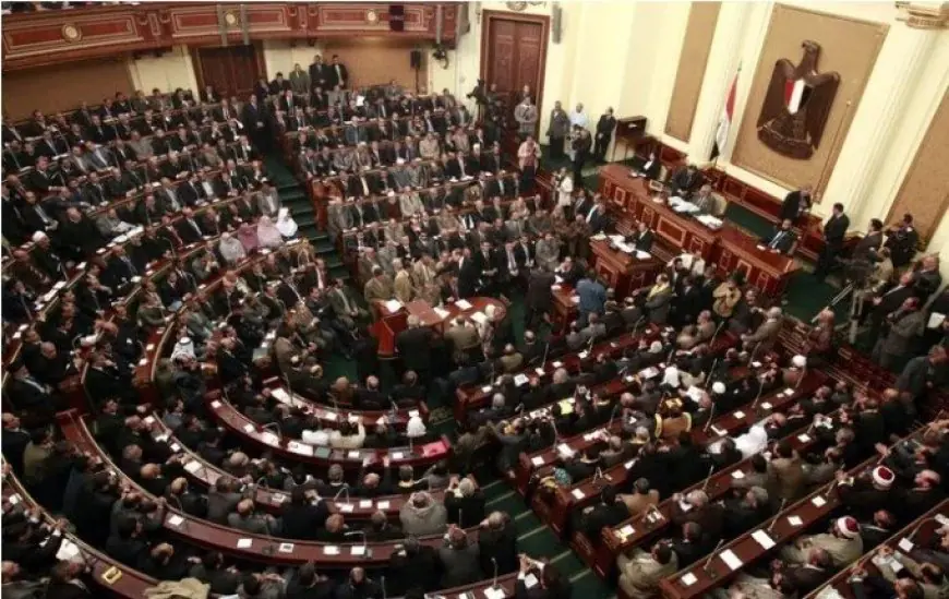 ميرنا عصام الدين وراندا محمد ونهى عبد الرحمن عضوات جدد في مجلس النواب