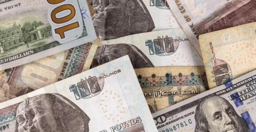 أذون الخزانة يستقطب 141.67 مليار جنيه رغم تقليل العائدات