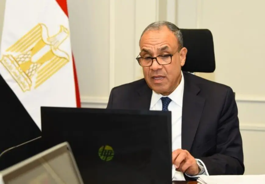 وزير الخارجية يؤكد قوة العلاقات بين مصر وأيرلندا مع زيارة الرئيس السيسي التاريخية إلى دبلن
