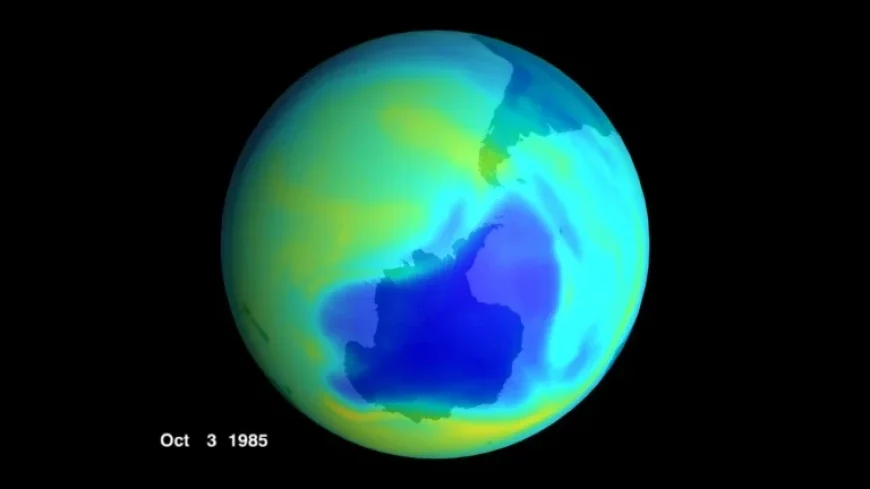 Scientists Save Ozone Layer: A Short Wave NPR Report
