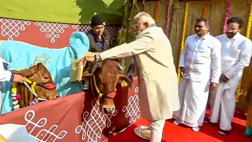 PM Modi Celebrates Pongal as a Worldwide Tamil Community Festival