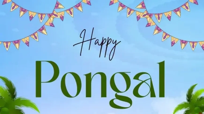 Tamil Pongal 2026 Wishes: 102+ Images, Quotes, and Greetings for WhatsApp