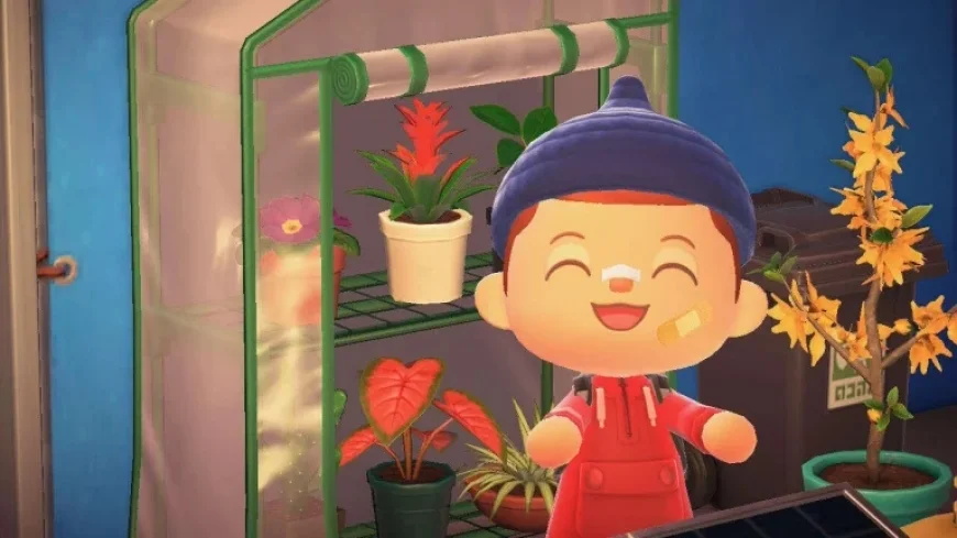 Animal Crossing Update Draws Players Back to Abandoned Islands