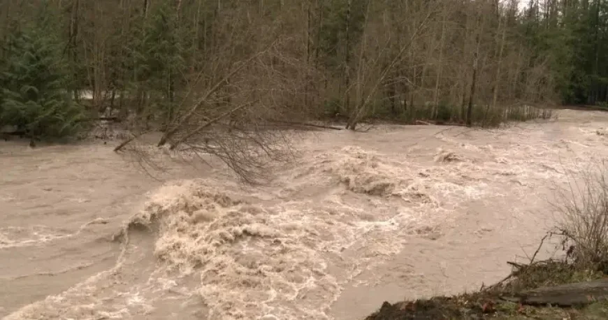 Fraser Valley, Vancouver Island Face Evacuations as Atmospheric River Hits
