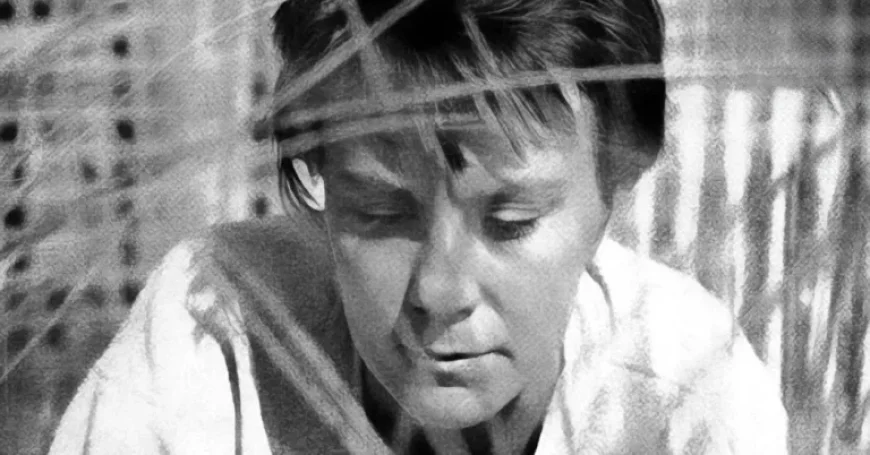 Harper Lee Explores Southern Life in Letters to Friend