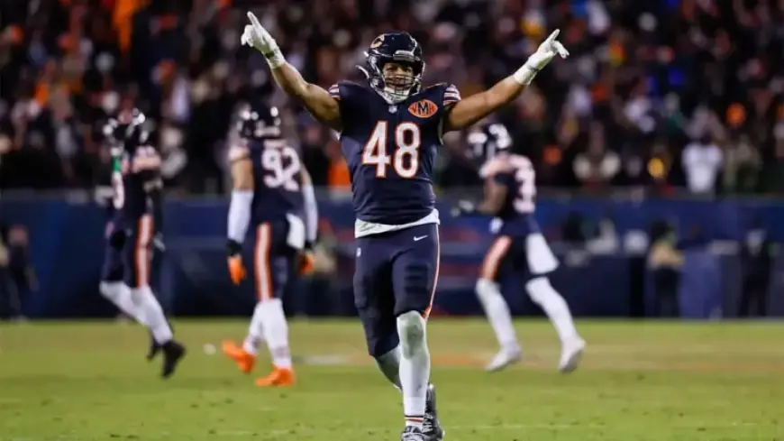 Bears Defense Fuels Historic Comeback Win with Second-Half Surge