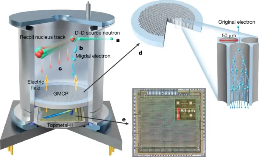 Neutron Bombardment Reveals Migdal Effect in Groundbreaking Observation