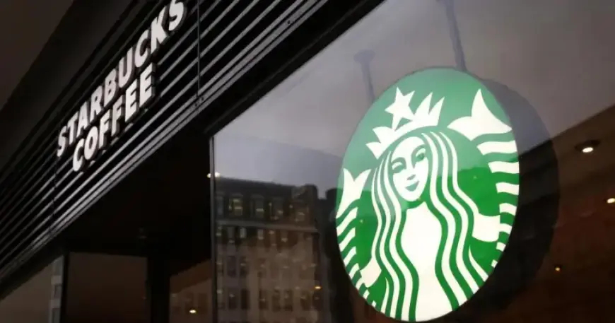 Coveted Viral Cup Arrives for Sale in Worcester, Drawing Overnight Campers