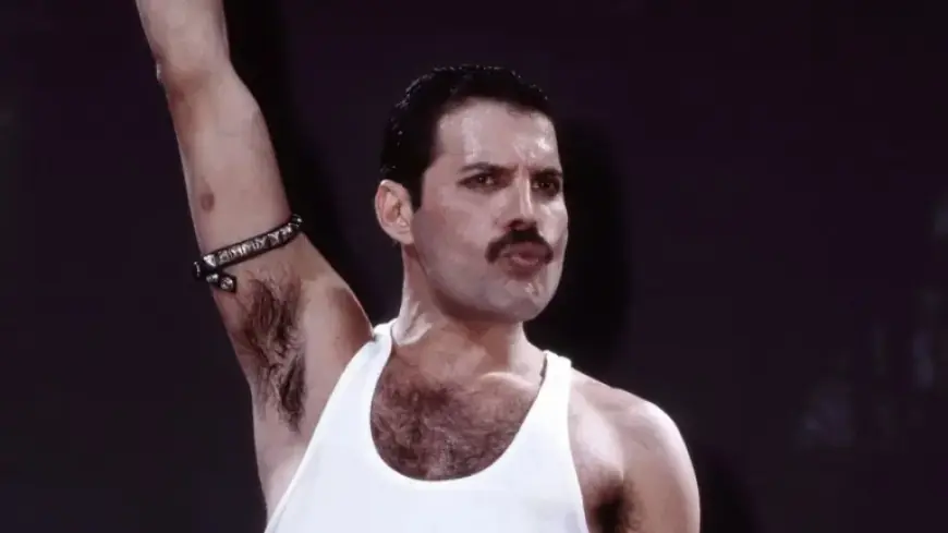 Freddie Mercury’s ‘Secret’ Daughter Passes at 48 After Rare Spinal Cancer Battle