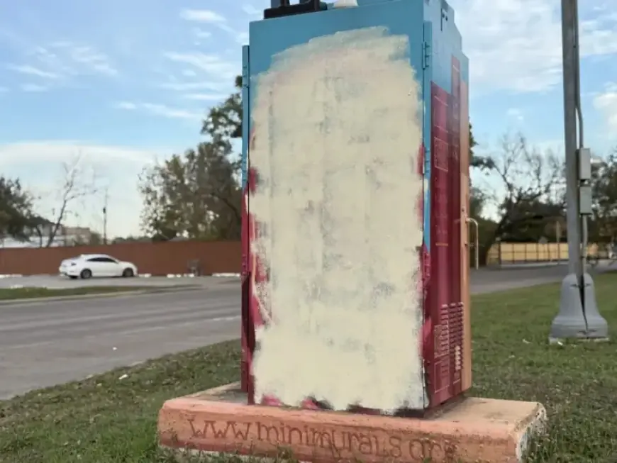 Malala Yousafzai Mural Vandalized Again in Houston’s Heights Neighborhood