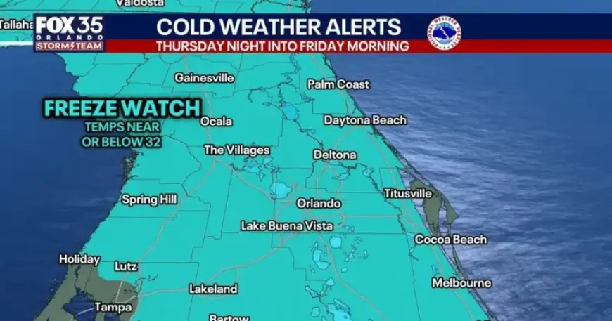 Florida Cold Front: County Forecast and Timeline for Temperature Drop