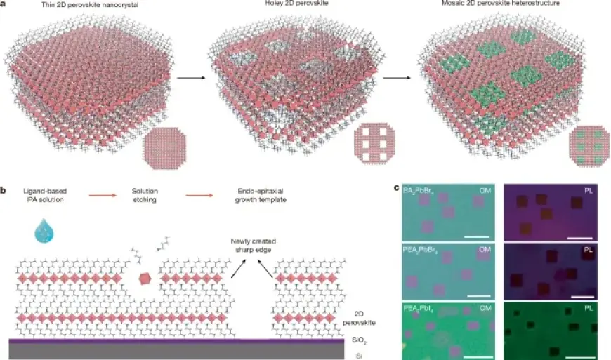 Exploring Mosaic Lateral Heterostructures in 2D Perovskite Materials