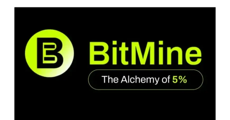 Bitmine Immersion Tech Secures $200M Investment with Beast Industries