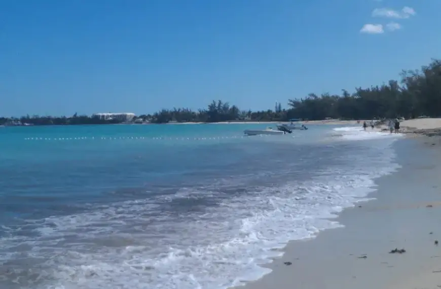 Mayaguana Port Development Driven by Bahamas Cruise Boom