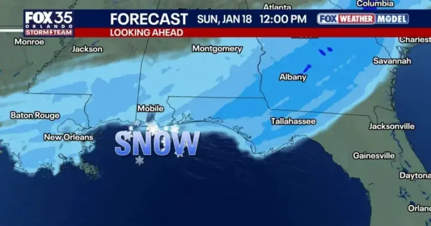 Florida Snow Forecast: Likelihood, Locations, and Timing Explained
