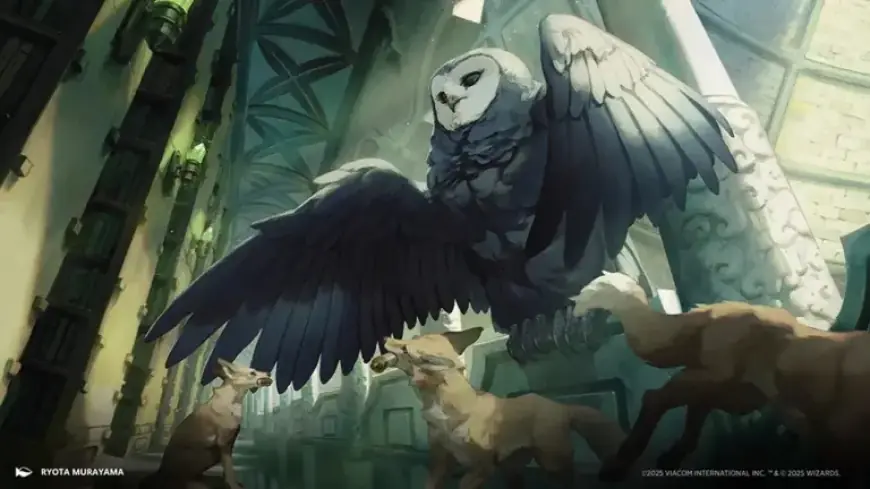 Magic Spotlight’s ‘The Avatar’: Essential Lessons from Metagame Mentor