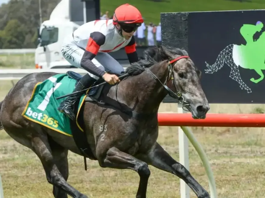 Country Galloper Tackles Flemington Test for Derby Chance