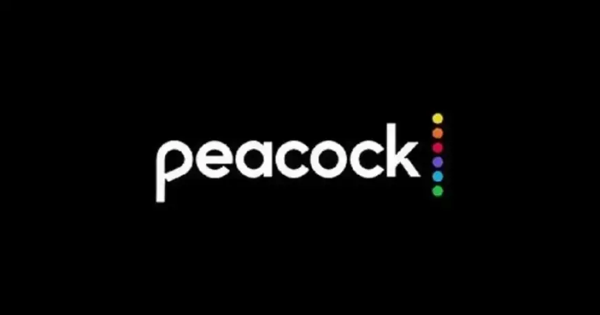 Hunger Games Franchise and Hit Series Stream Now Online