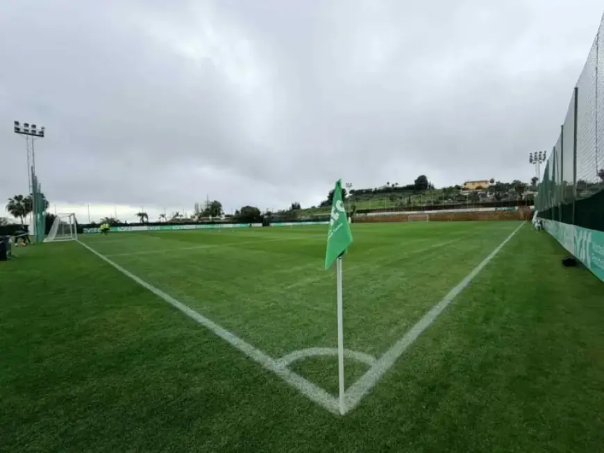 Sigma Olomouc Battles Legia Warsaw in Ongoing Match