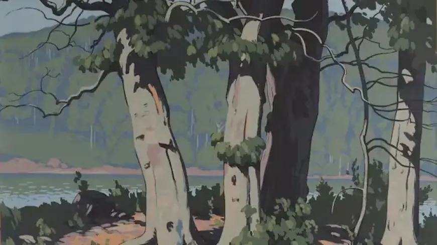 Ontario School Board Conceals $34K Fine Art Collection Records