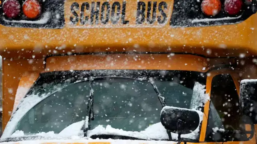 Blowing Snow and Icy Roads Force School Closures Across Manitoba