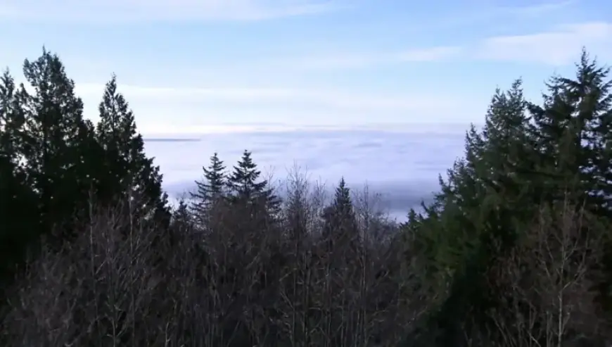 Fatality Reported at Cypress Mountain Resort, Confirm West Vancouver Police