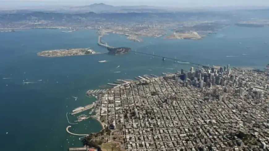 Why a Blockbuster-Free Week Boosted the Film Industry