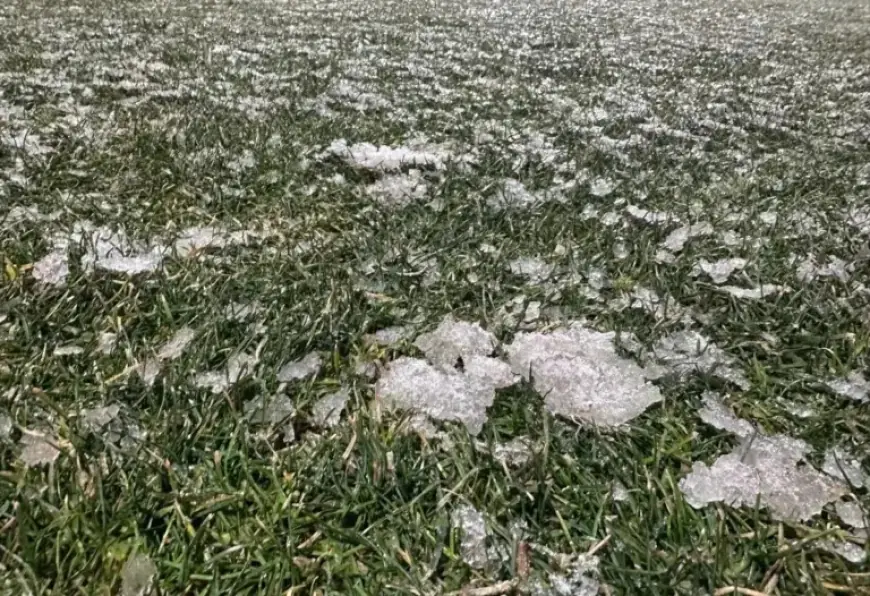 FCSB Champions’ Unified Gesture on Mioveni Turf
