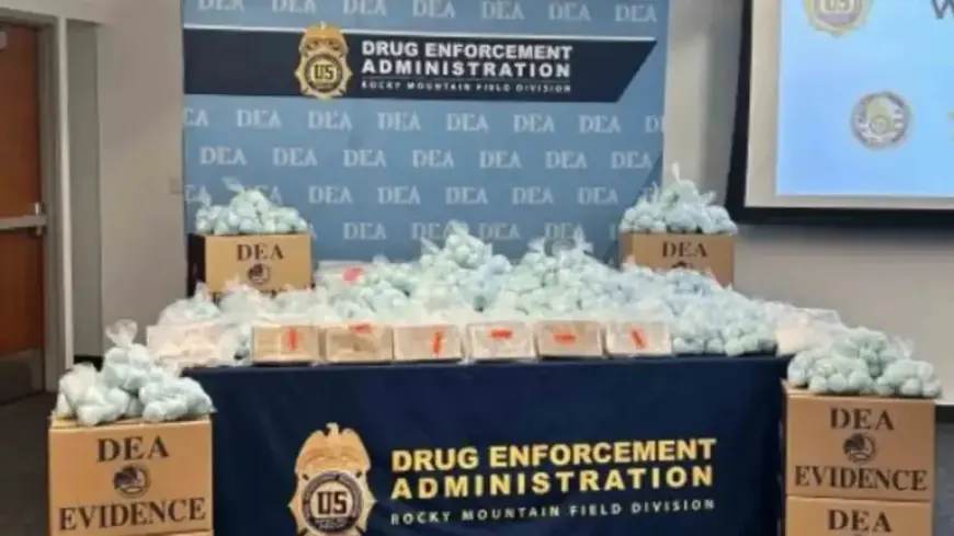 Wyoming Fentanyl Seizures Surge 264%, Linked to Mexican Cartel Operations