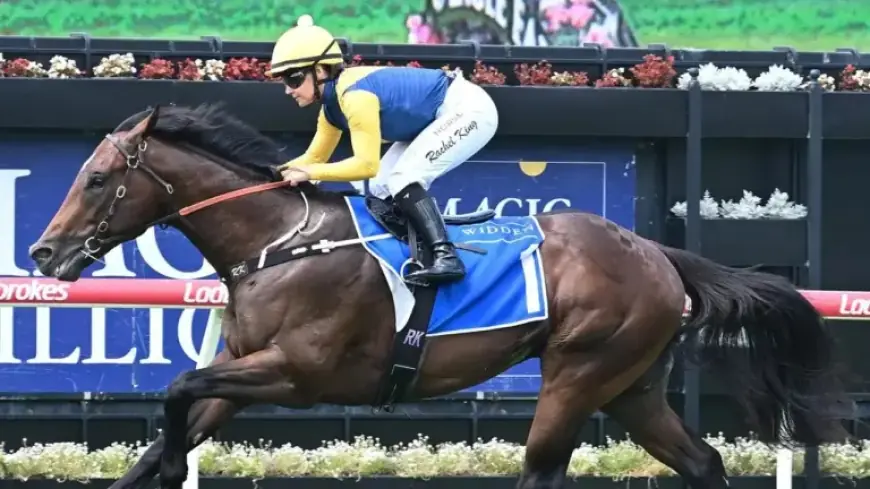 Warwoven Dramatically Withdrawn from Magic Millions Event