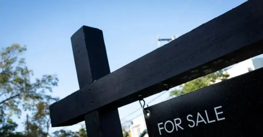 Trump Proposes Using 401(k) Funds for Home Down Payments, Adviser Reveals