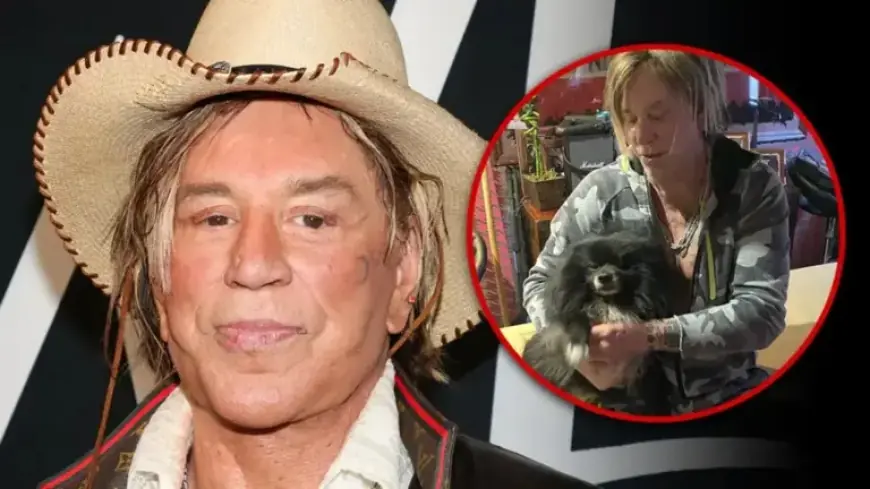Mickey Rourke Struggles to Afford Heart Surgery for Beloved Dog