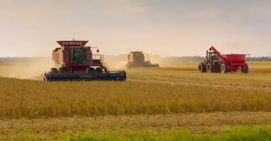 Supreme Court to Rule on Roundup Pesticide’s Lawsuit Immunity