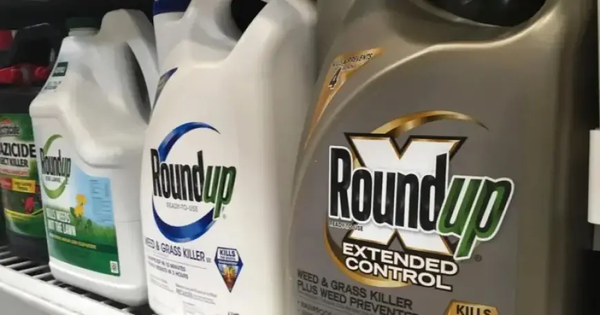Supreme Court Could Halt Thousands of Monsanto Weed Killer Lawsuits