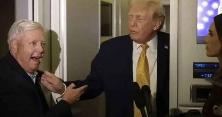 Donald Trump Appears to Unravel Live on CNN Broadcast