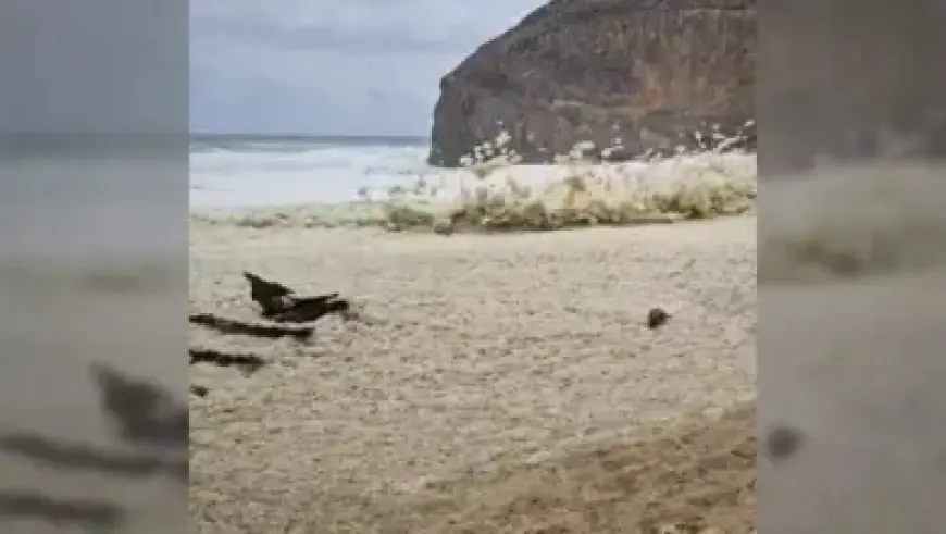 Severe Storm Targets Parts of Brisbane