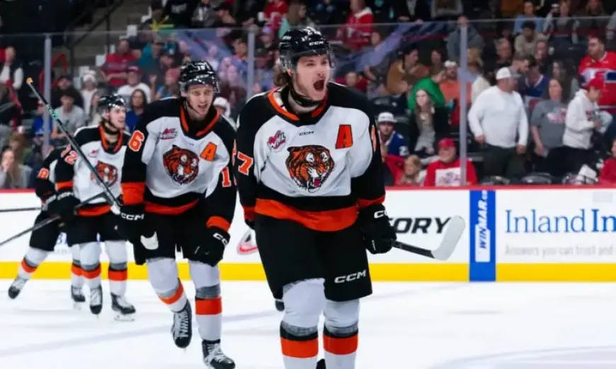 Canadiens’ Prospect Bryce Pickford Showcases Rare Defenseman Skills