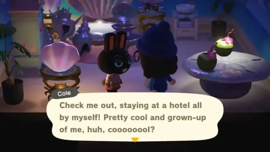 Animal Crossing Fans Disappointed: Hotel Visitors Can’t Relocate to Your Island