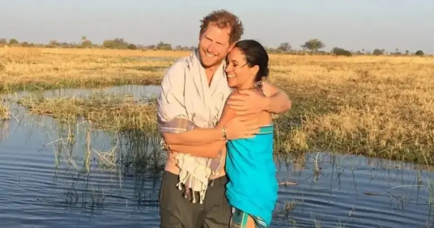 Meghan Markle Shares Lilibet-Filmed Video Featuring Prince Harry