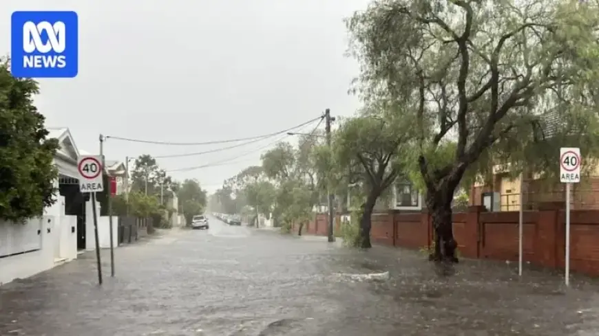 NSW Coast Braces for Intense Rainfall and Flash Flooding