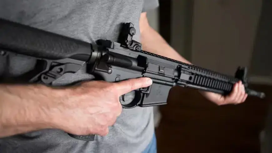 Ottawa Announces Next Steps in National Gun Buyback Program Details