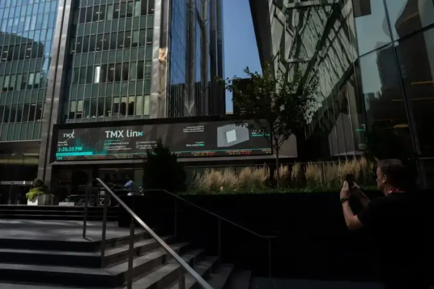 Prepare for the Impending Stock Market Crash: Expert Insights