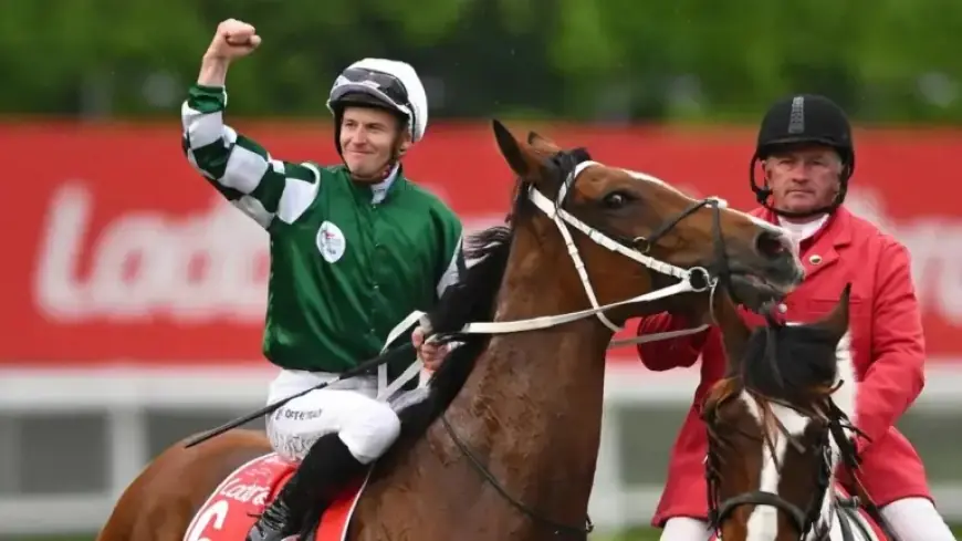 Chris Waller Retires Cox Plate Champion Via Sistina Immediately