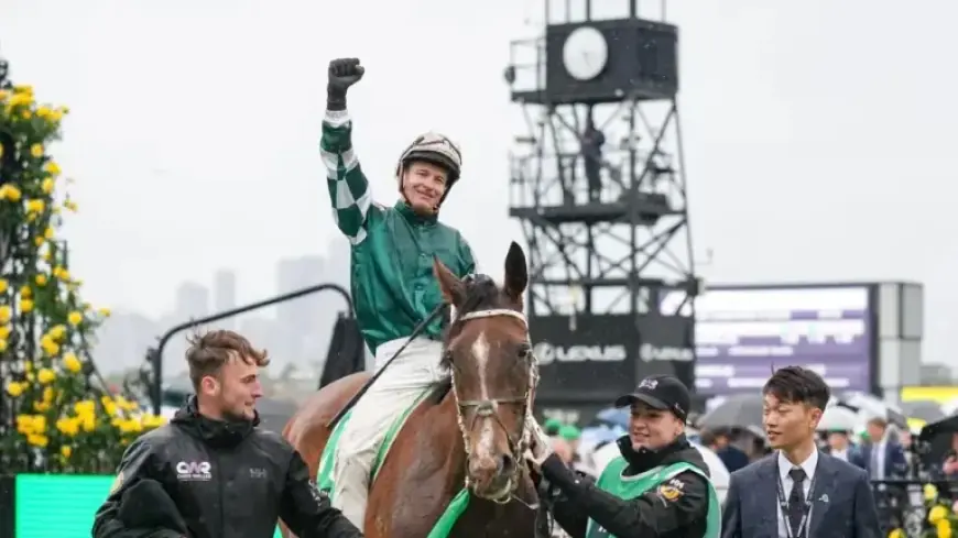 Two-Time Cox Plate Champion Via Sistina Retires